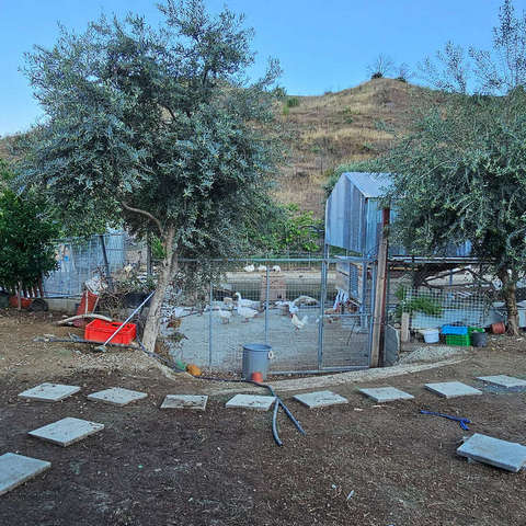 melini tavern backyard near wc